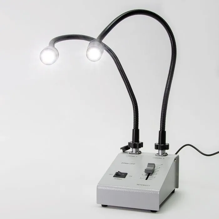 Piggy®Swan źródło światła zimnego KQ-LED2