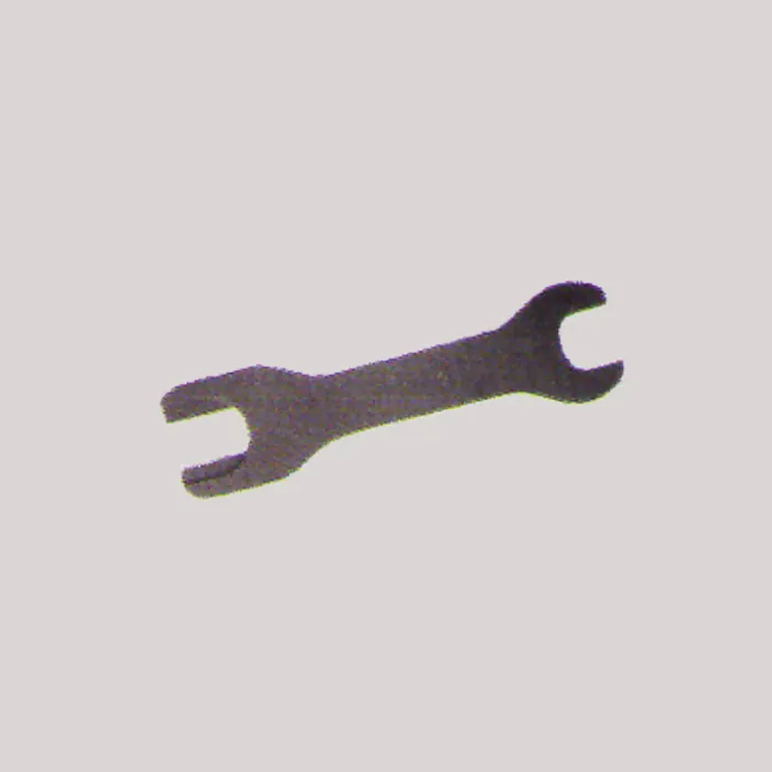 R-MSP1
