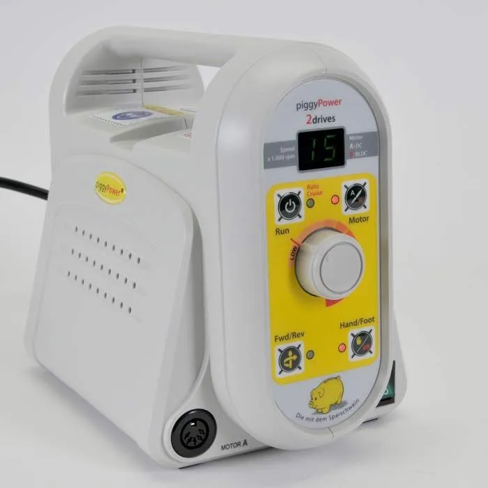 piggy®Power 2drives sterownik